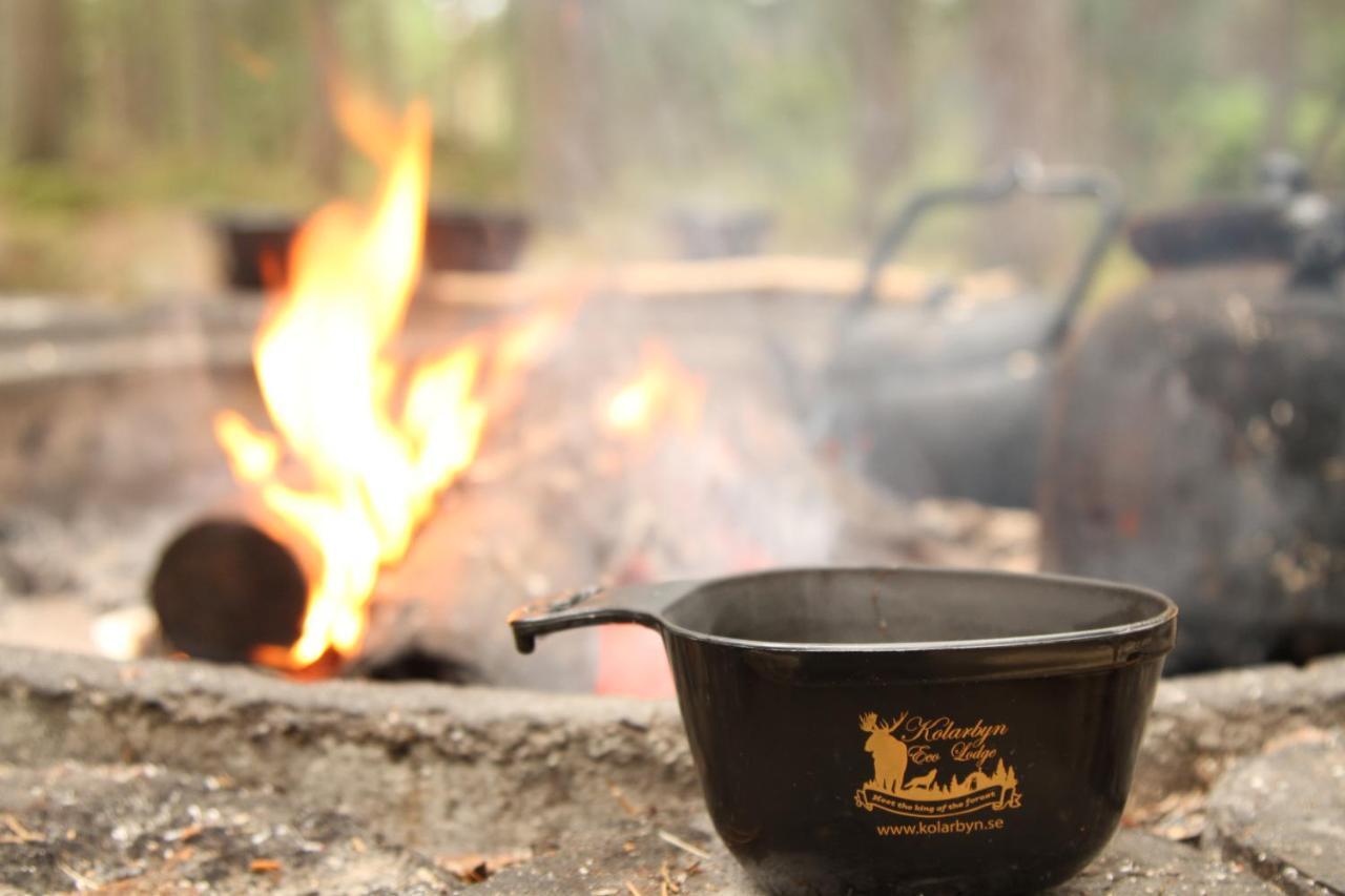 Stf Kolarbyn Eco-Lodge Skinnskatteberg Екстериор снимка